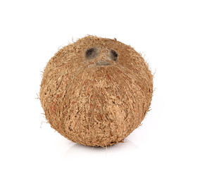 coconut on white background