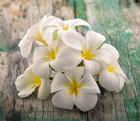 Fototapeta na wymiar frangipani flower on wooden