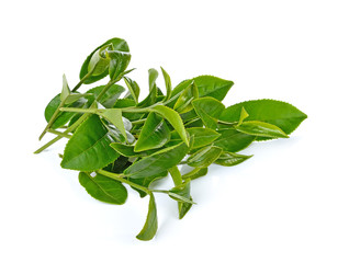 Green tea leaf isolated on white background