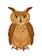 Vector brown owl isolated on a white background.