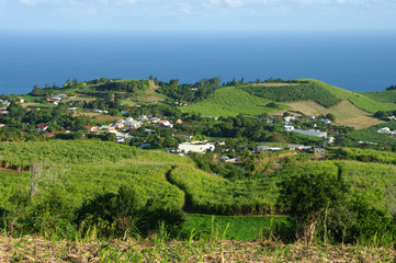 Fototapeta na wymiar La Réunion - Saint-Joseph, Carosse 