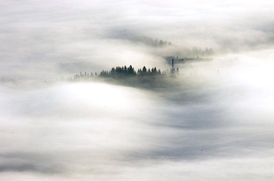 Fototapeta evening mountain plateau landscape (Carpathian, Ukraine)