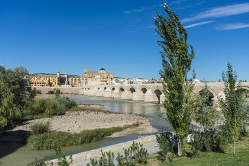 Obraz premium Roman bridge in Cordoba, Andalusia, southern Spain.