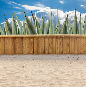 terrain de jeux, feuilles d'agave derri&egrave;re rambarde bois