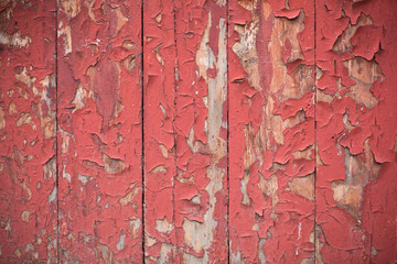 wood background