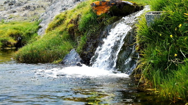 Small stream with fresh cold clear water in Altai mountains
