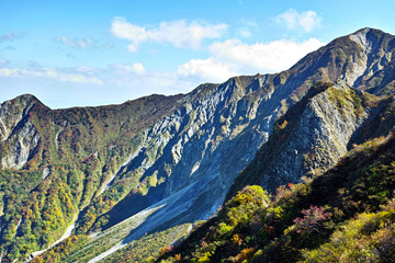 大山　北壁　紅葉