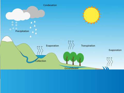 The Water Cycle 