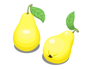 Yellow pear vector illustration