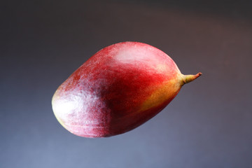 Mango On Dark