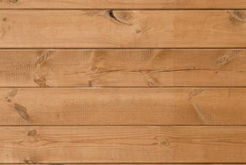 the surface texture of wood