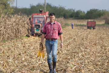 Farmer on corn field © Budimir Jevtic