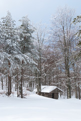 Log cabin in a snowy forest