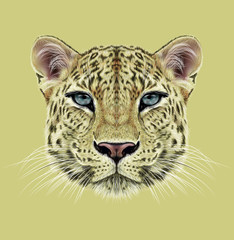 Naklejka na ściany i meble Illustrative Portrait of Leopard. Cute face of African Leopard with blue eyes.