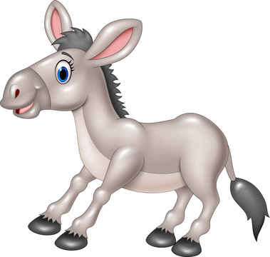 Illustration of a cartoon happy donkey isolated on white background