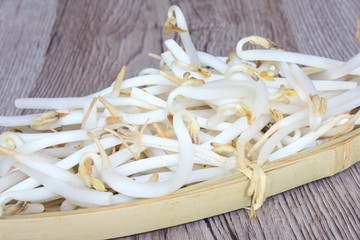 Pousses d'haricot mungo