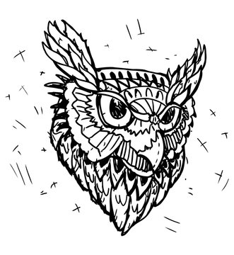 Vector Sketch of Owl Head