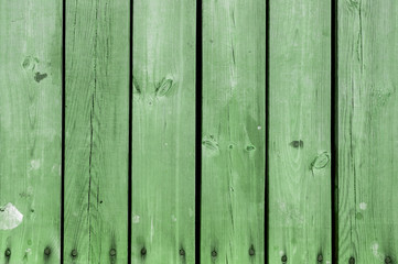 The old green wood texture with natural patterns