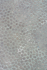 Patina copper surface