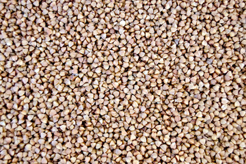 Buckwheat texture