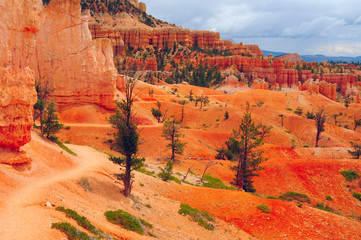 Bryce Canyon trails