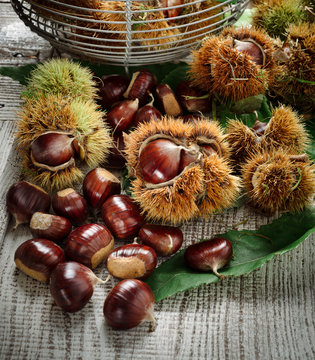 Chestnuts
