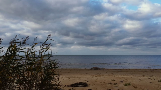 Beach autumn timelapse.