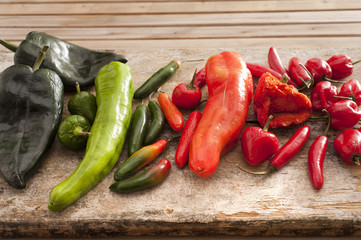 Large selection of fresh chili peppers