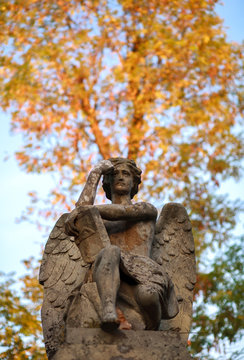 The thinker statue of an angel with a book in autumn
