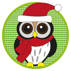 Owl with scarf and hat on light green button on white background