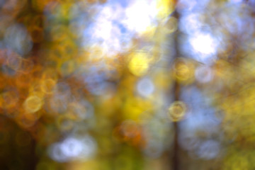 unfocused nature background bokeh