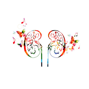 Colorful human kidneys design