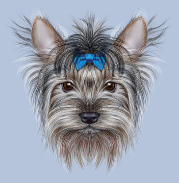 illustrative Portrait of a Domestic Dog. Cute head of Yorkshire Terrier on blue background.