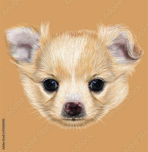 Illustrative Portrait Of Chihuahua Puppy Cute Long Hair Bi Colour
