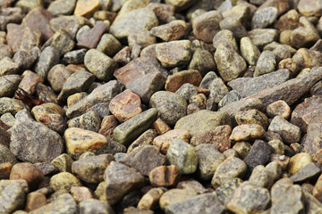 low tide, the rocks on the beach