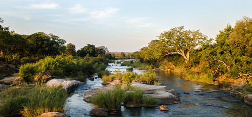 Panoramica, fiume - Kruger park - Sudafrica