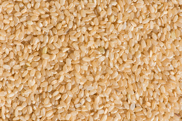 Brown rice background