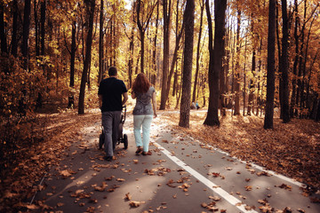 Fototapeta premium landscape autumn path in the park
