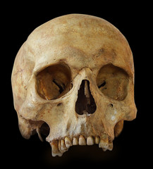 Obraz premium Human skull isolated on black background