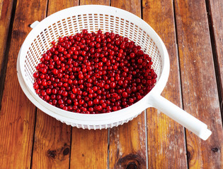 red currant
