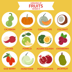 collection of fruits version three, food vector illustration, fl