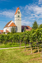 Fototapeta na wymiar Church and Vineyard-Meersburg,Germany,Europe