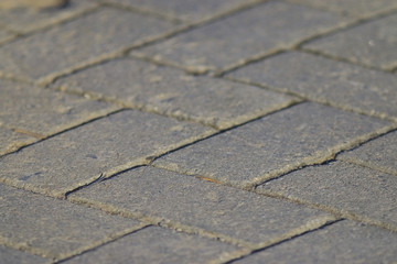 texture tile paved roadway