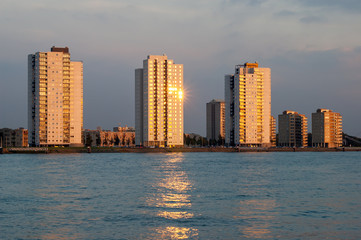 Fototapeta na wymiar Residential skyscrapers alongside New Meuse River in Rotterdam, the Netherlands