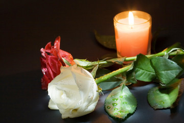Two roses and candle