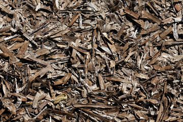 dry seaweed