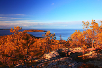 autumn landscape in nature