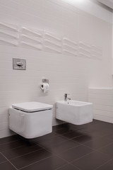Obraz na płótnie Canvas Functional and clean toilet