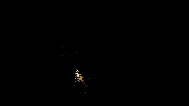 Fireworks in a black sky.
