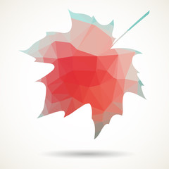 Triangular maple leaf